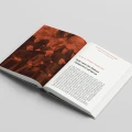 Thick_Book_Mockup_OK_4.jpg